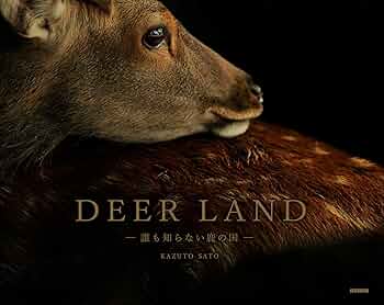 A deer / 鹿 deer-skul-800-1.jpg