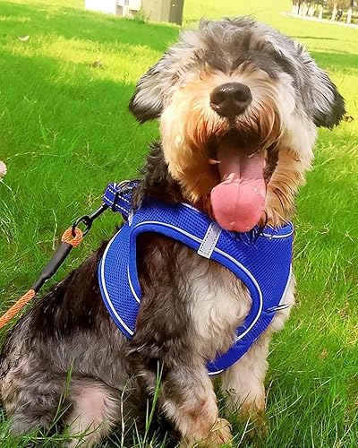 Vista 44 de Joytale arnés para perro, 12 colores, chaleco de malla transpirable, arnés acolchado suave reflectante para perros medianos, negro, XL.