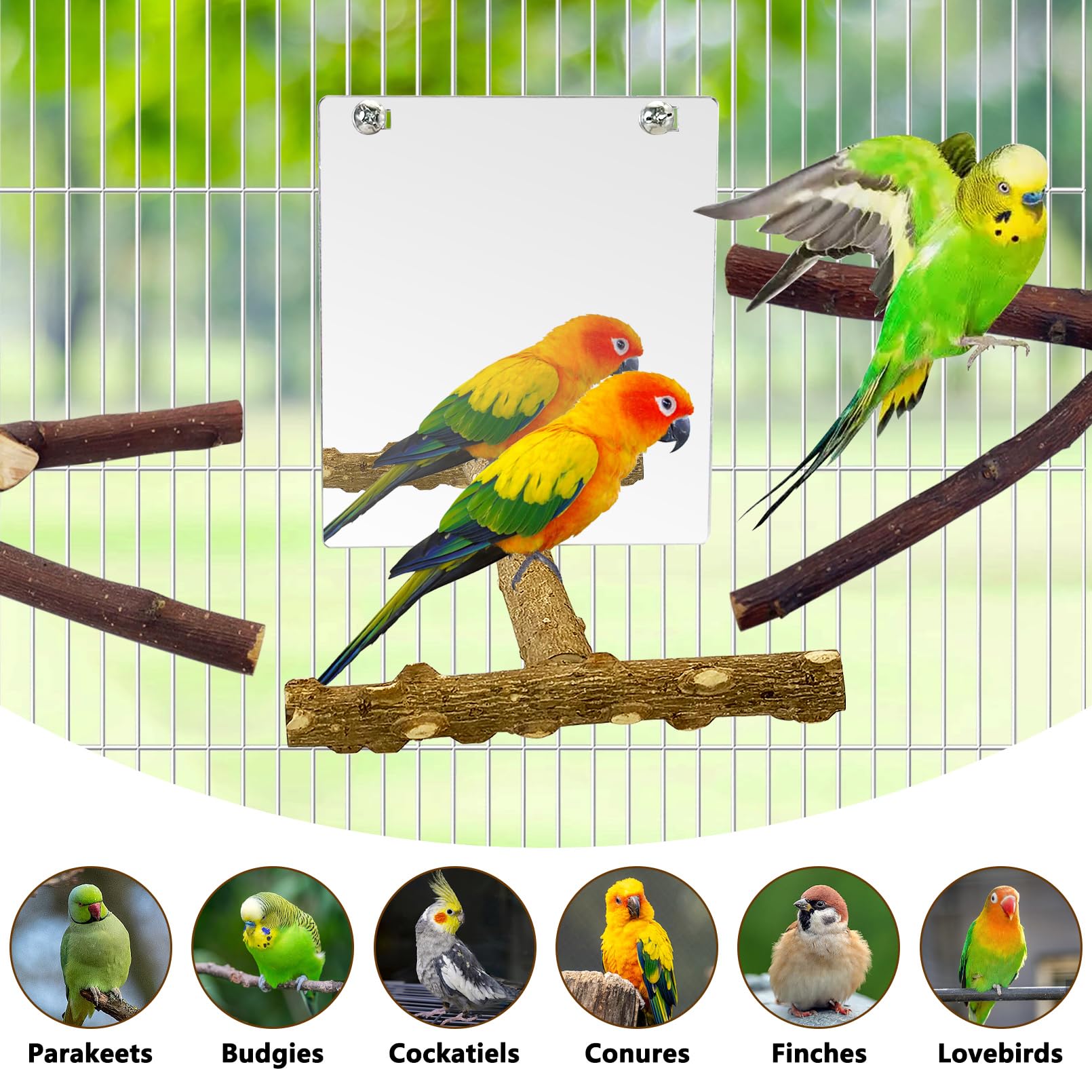 BNOSDM 5PCS Bird Perches Stand with Mirror Parrot Natural Wood Stick Perches Forked Perch Branch Parakeet Toy Set Bird Cage Accessories for Budgie Cockatiel Conure Finch Lovebird - image 8