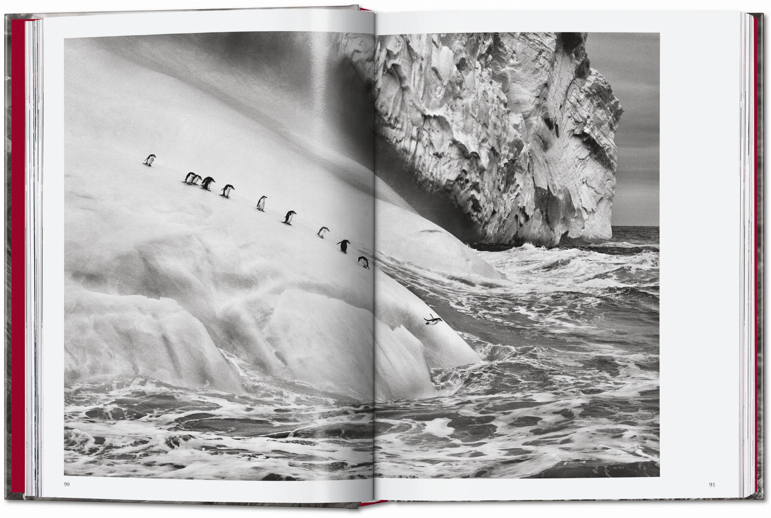 Sebastião Salgado: Genesis. 45th Ed.