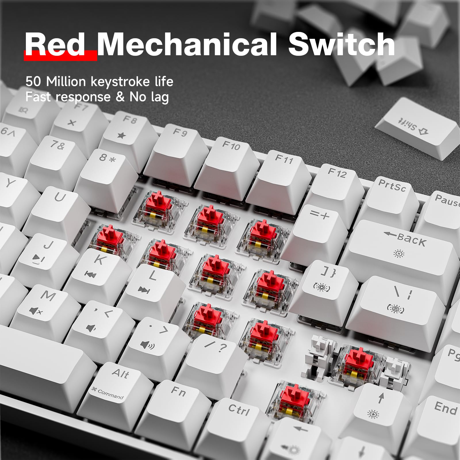 TMKB T84SE Tastiera Meccanica, Layout QWERTY US, Tastiera Gaming a 84 Tasti con LED Blu, N-Key Rollover Red Switch per PC Windows/Mac OS, Bianco