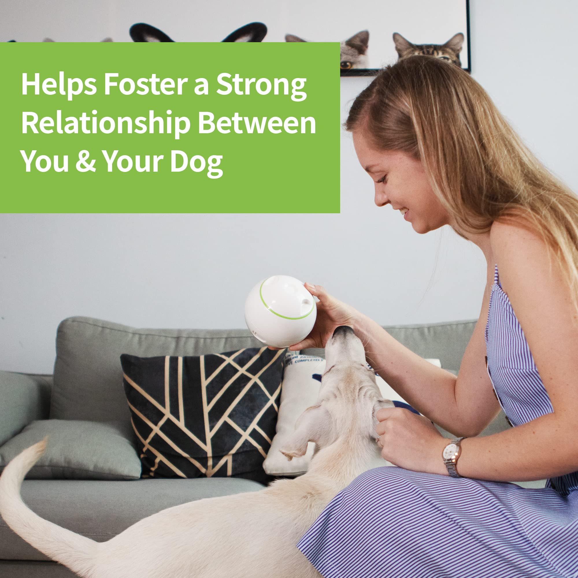 FayTun PETGEEK Interactive Dog Toy Automatic, Treat Dispensing Dog Ball for Boredom, certyfikat FDA Smart Dog Toys Entertainment, Pet IQ Treat Ball Electronic Toys for Dogs Diameter 5,7 cala