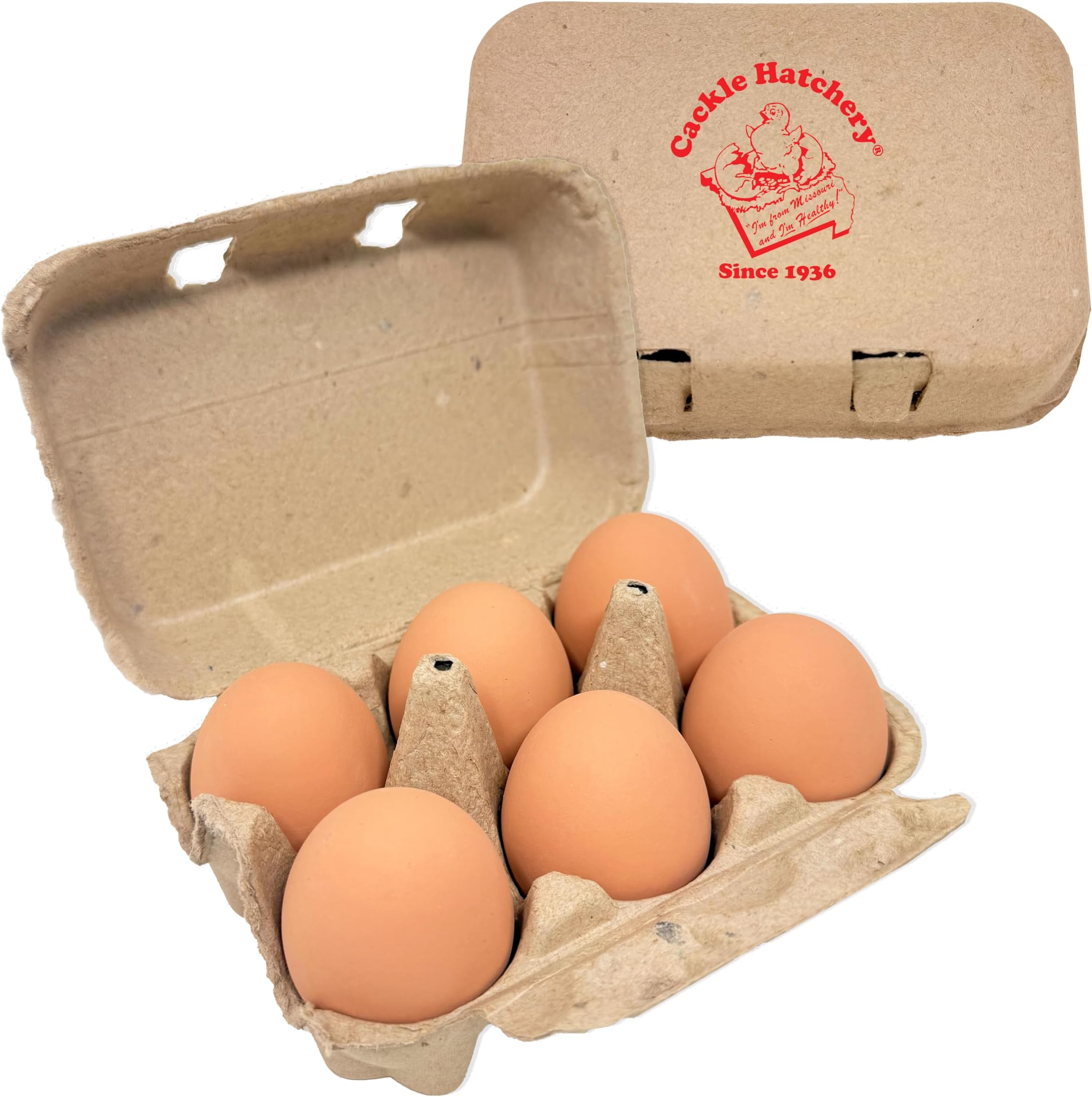 Cackle Hatchery Ceramic Nest Eggs - Brown (6 Pack)