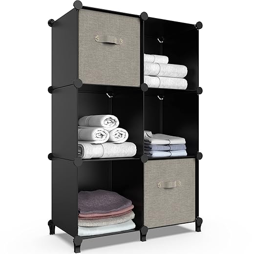 6-Cube Storage Organizer