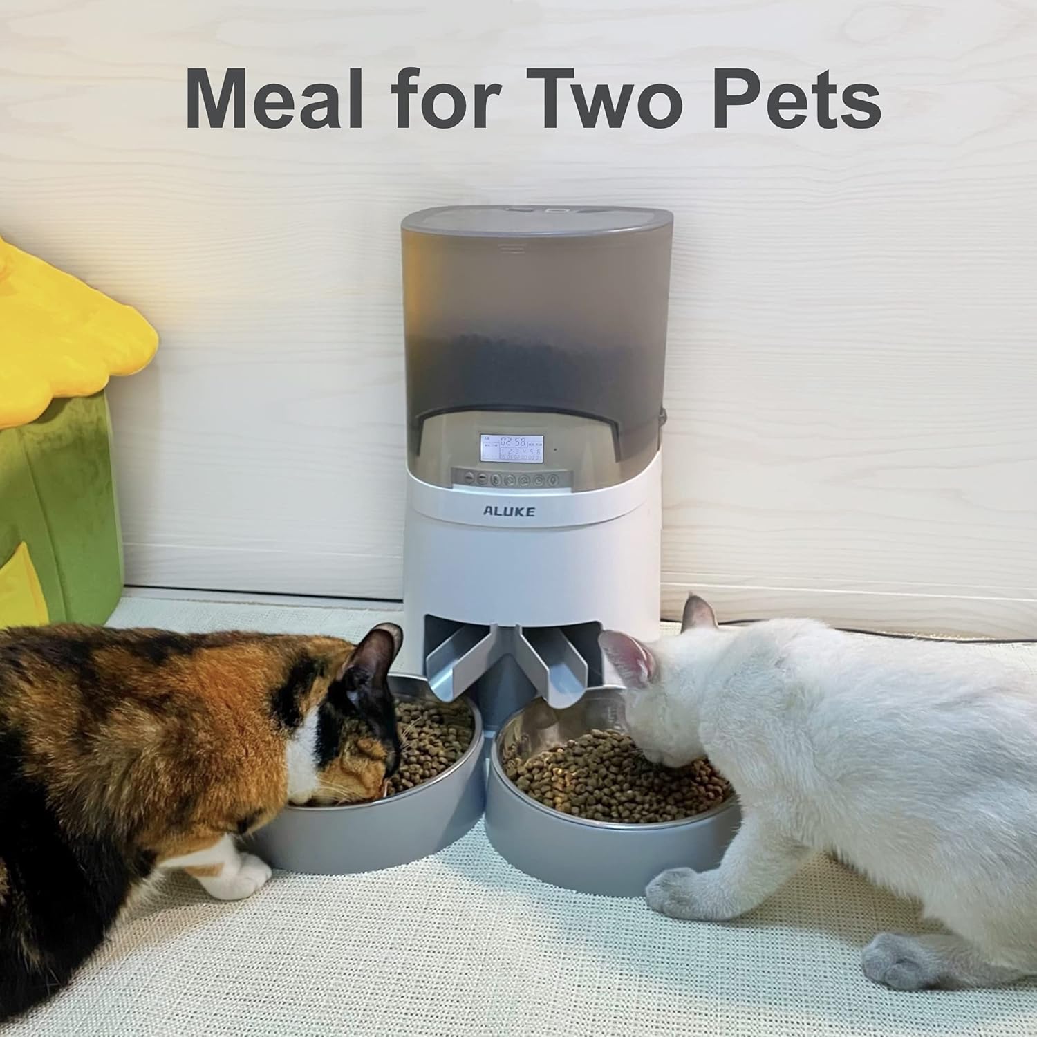 Automatic Cat Feeder for 2 Cats, ALUKE 6.5L Pet Feeder for Cats & Dogs Dry Food Dispenser with Desiccant Bag, Stainless Steel Bowls & Lock Lid, Dual Power Supply 10s Meal Call 6 Meals Per Day