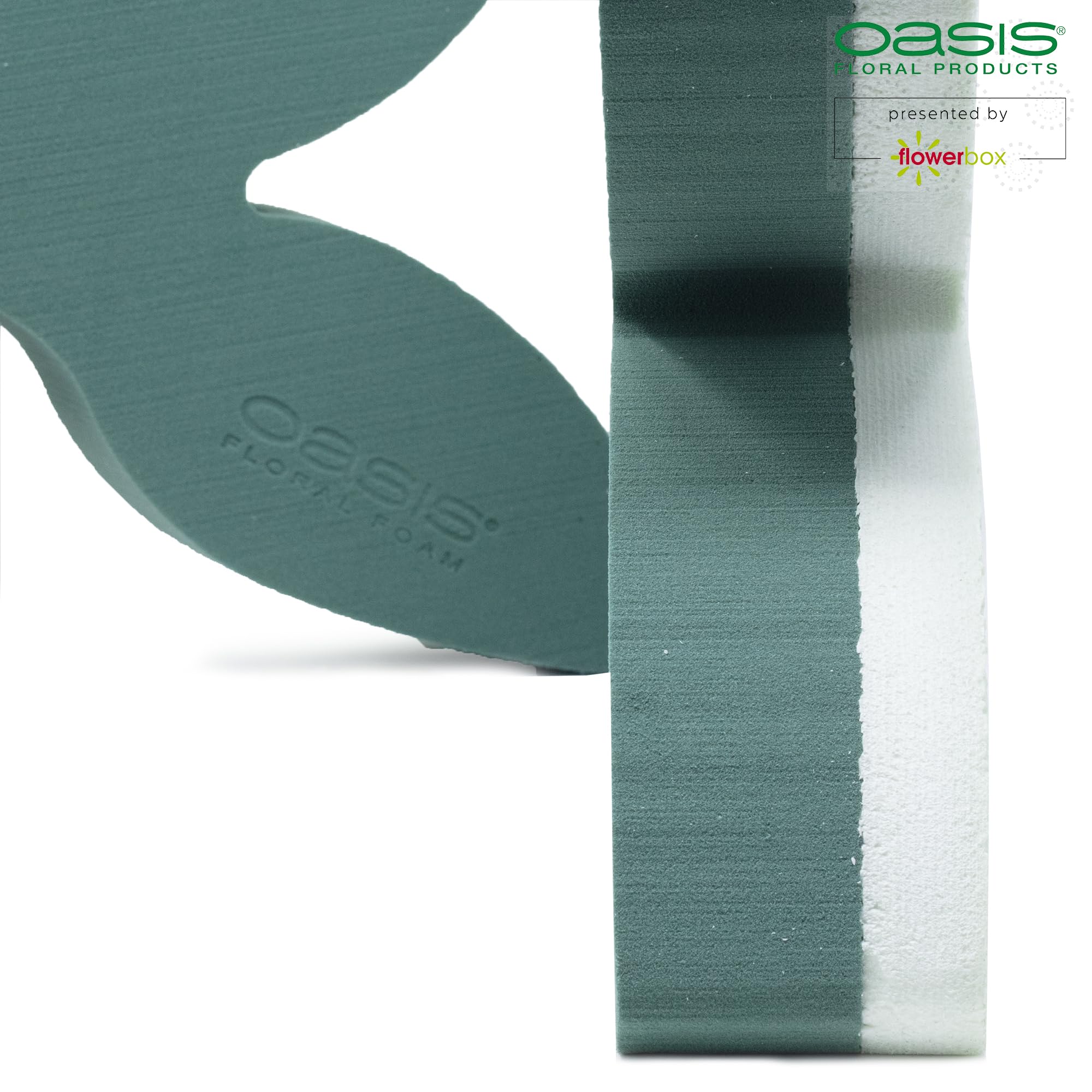 Cuore Oasis Prezzo PALLONE MYLAR SAGOMA ELEFANTINO CUORI 45 CM Spugna Oasis, image size:2000x2000