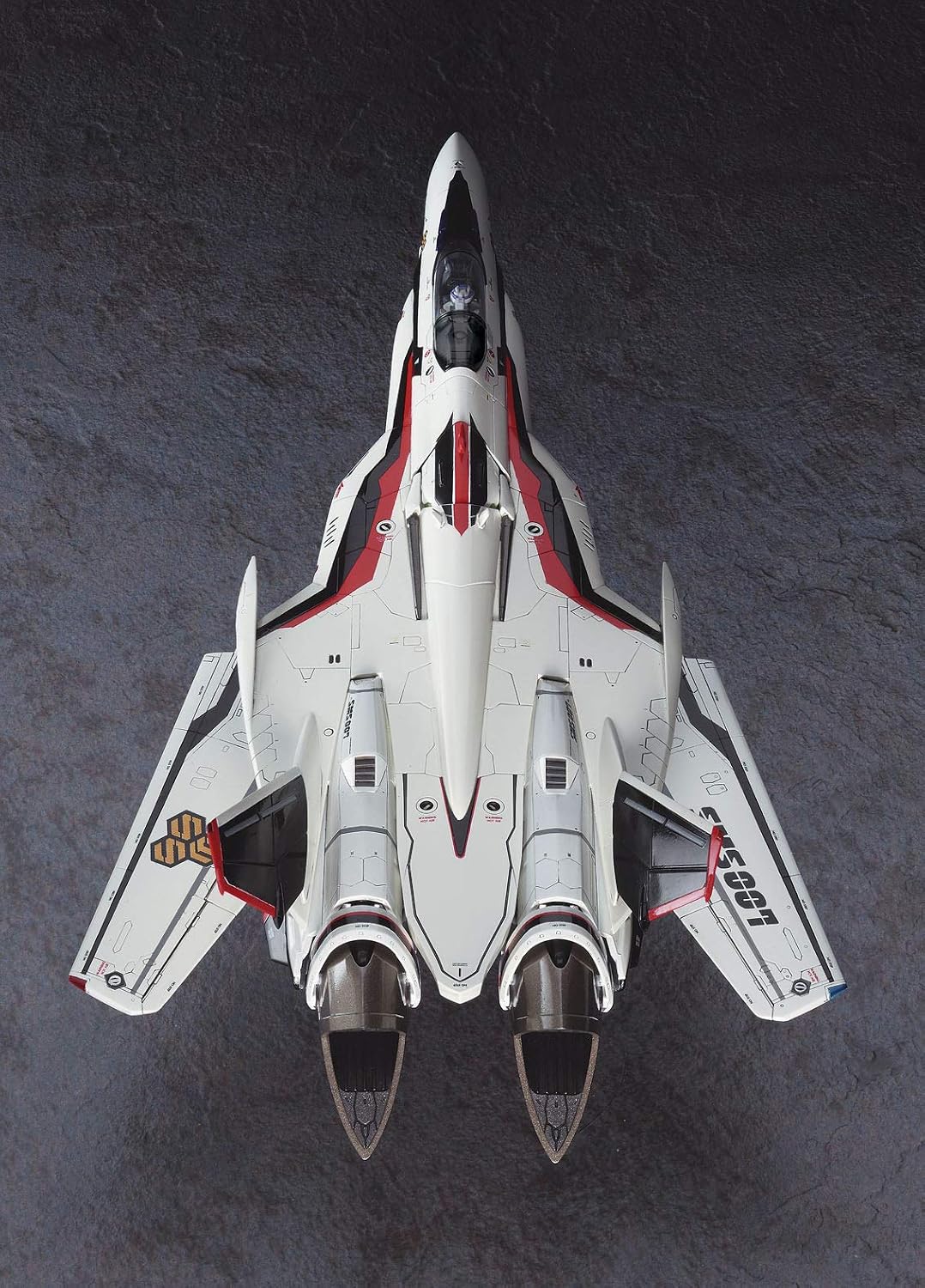 Hasegawa