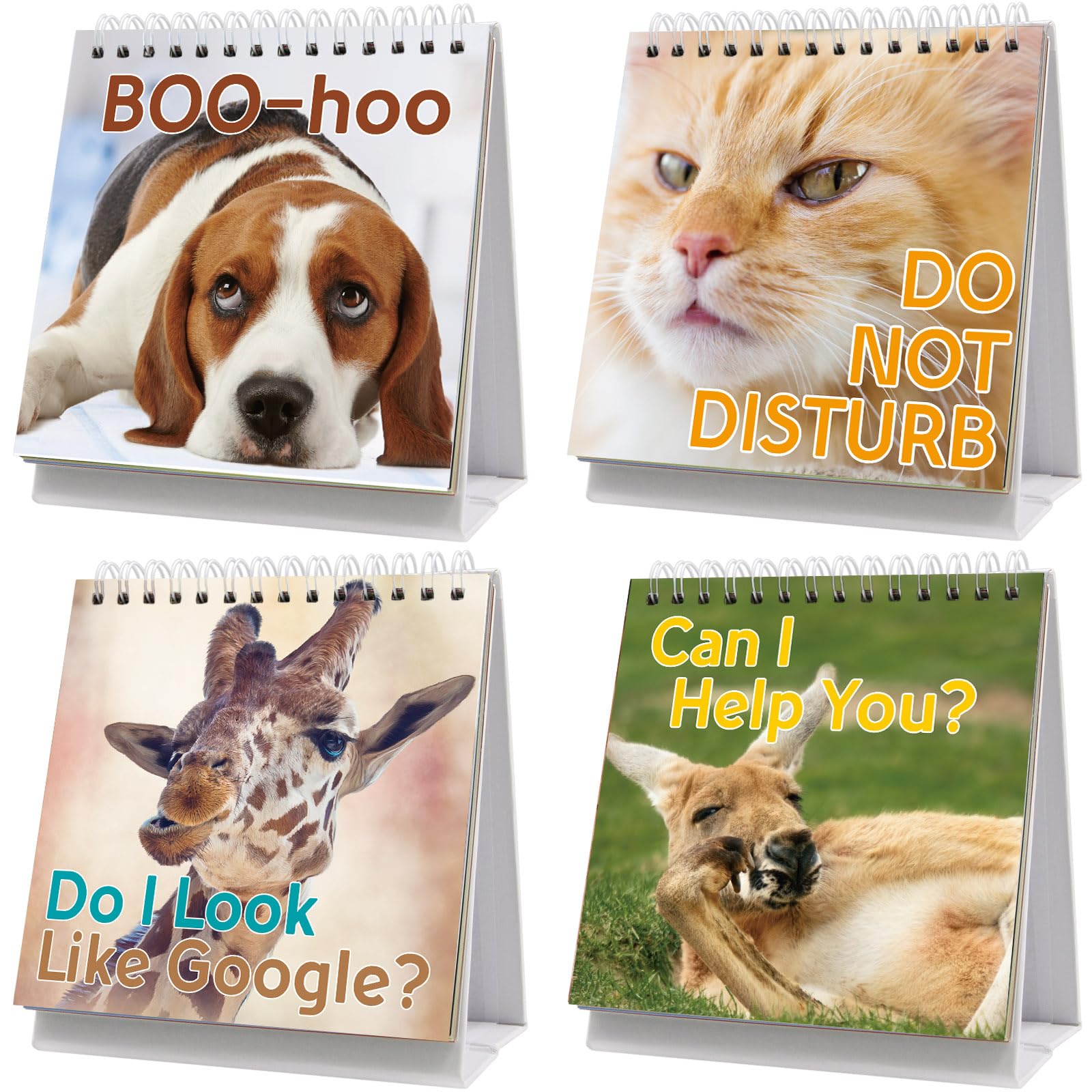 Funny Desk Signs for Animal Lovers 30 Different Fun and Flip-Over Messages for Office Gifts Desk Accessories
