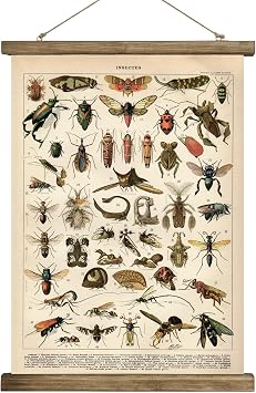 SHOXREM Vintage Poster,Rustic Art Prints, Retro Style of Wall Hanging for Living Room Office Classroom Bedroom Playroom Apartment Decor. Insects B 1Panels, 16 x 24
