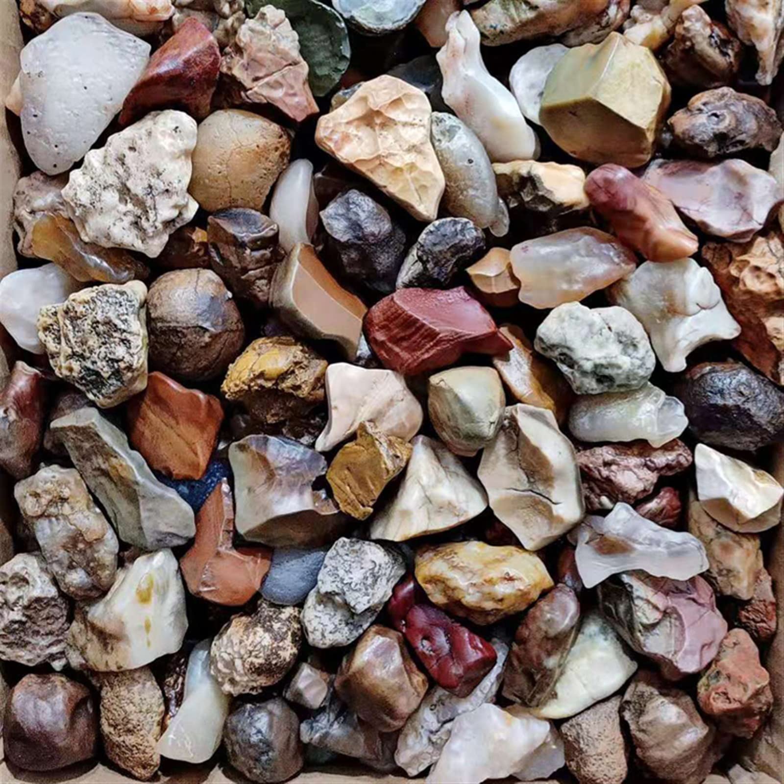 100 g Alxa Gobi Agata Naturale Gobi Stone Fish Tank Stone Strange Stone Collection Stone Family Fish Tank Decorazione Pietra Collezioni di casa