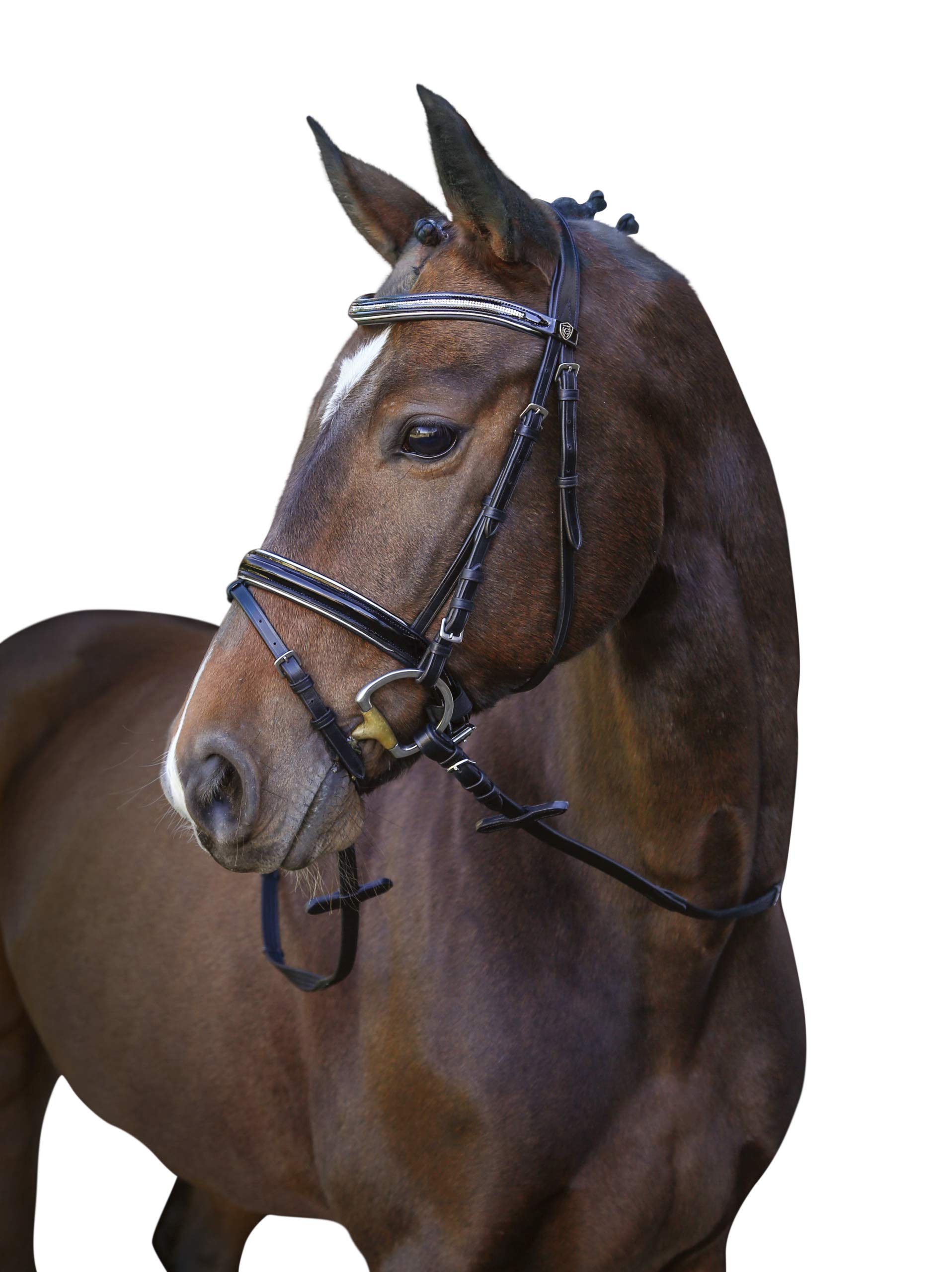 Covalliero Kingston Snaffle Bridle, Negro, Pony