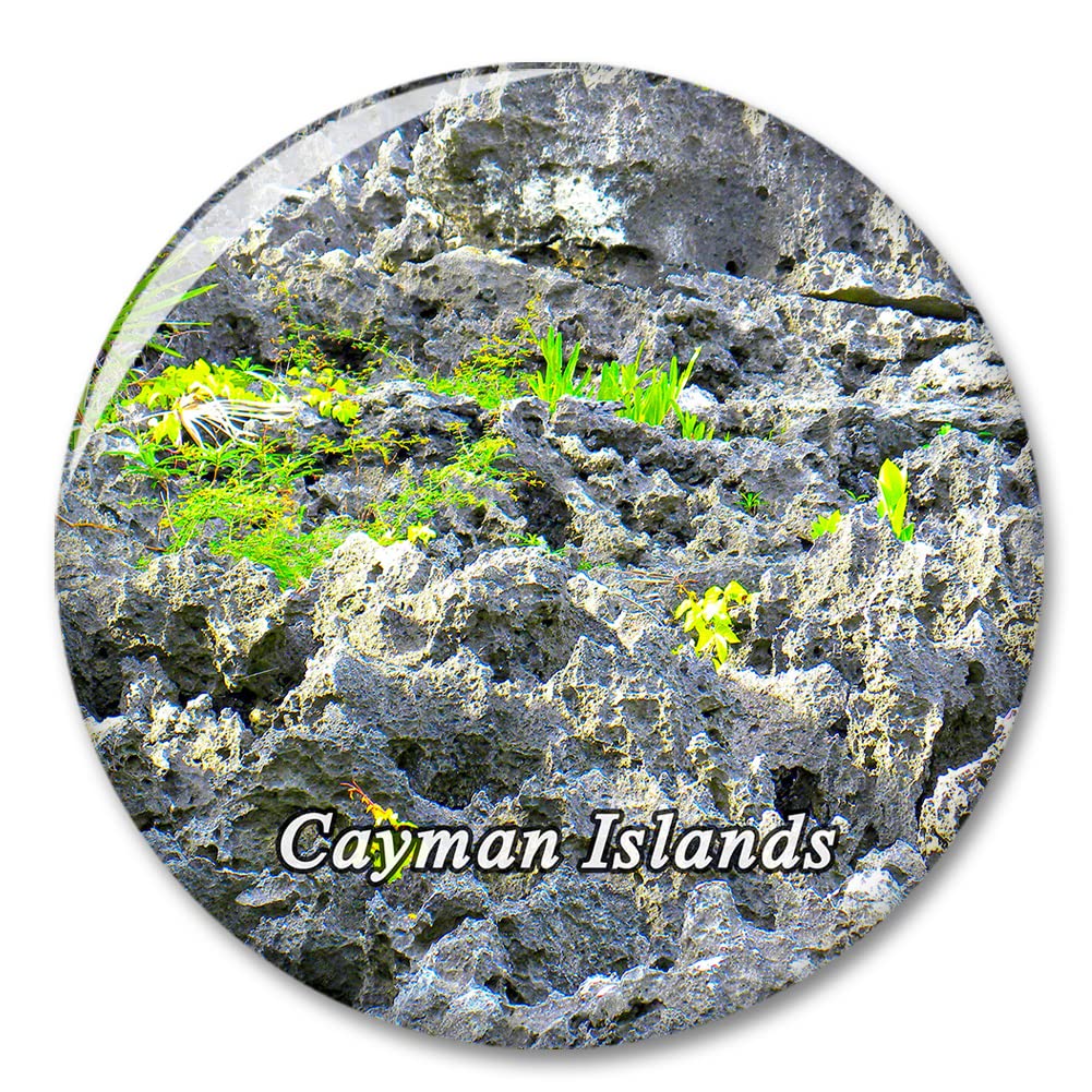 Cayman Islands Fridge Refrigerator Magnet Decorative Magnet Sticker Travel Souvenir Collection Tourist City Gift Whiteboard Kitchen