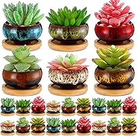 RimCereal 24 Pack 2.5 Inch Ceramic Succulent Pots with Drainage Holes & Bamboo Saucers - Colorful Small Planters for Indoor Plants Home Decor