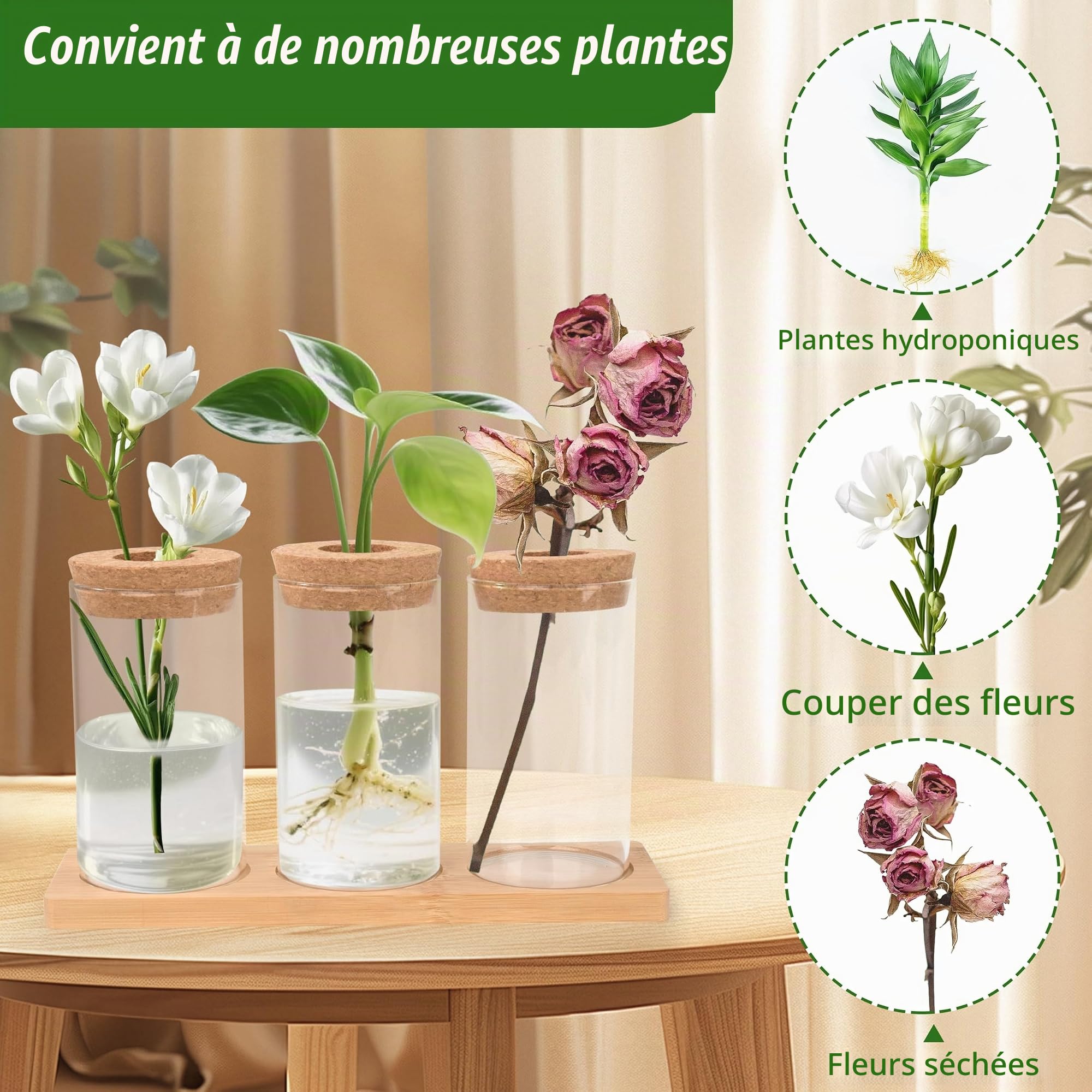 Stations de Propagation de Plantes Vases Hydroponiques avec Socle et Bouchons en Bois 3 Pièces pour Plantes Aquatiques ou Fleurs
