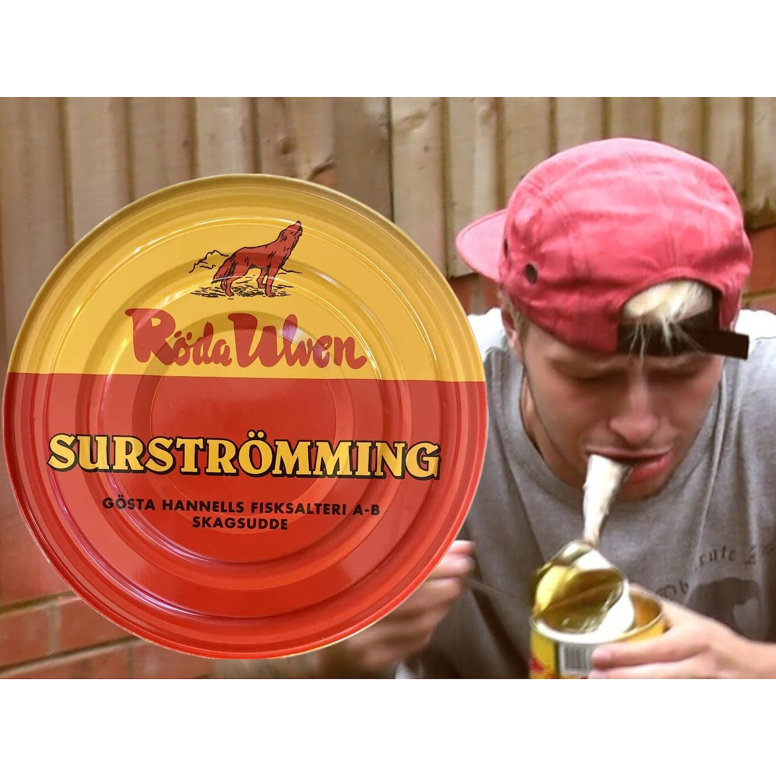 Röda Ulven Surströmming Arenque Fermentado 300g Lata Especialidad Sueca