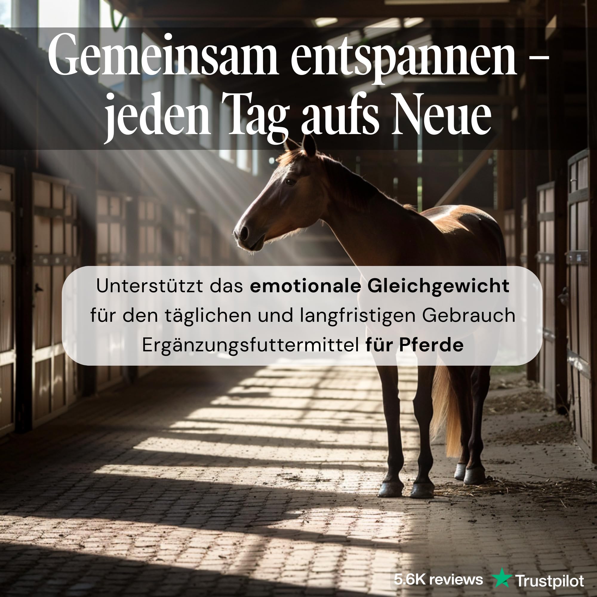 Feelings Control Pferd - Beruhigungsmittel für Pferde bei Angst, Stress & Unruhe - natürliches Anti-Stress Ergänzungsfutter bei Reisen, Training & Turnieren - 180 Tabletten à 1000 mg