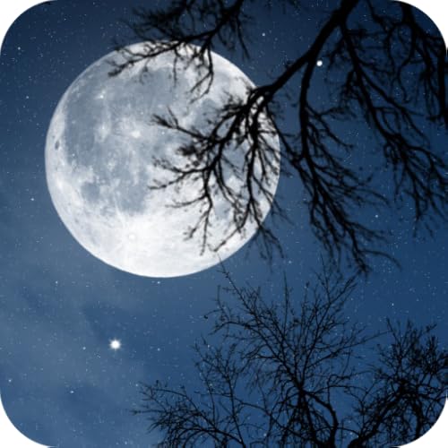 Relax Night ~ Nature sounds: sleep & meditation - //medicalbooks.filipinodoctors.org