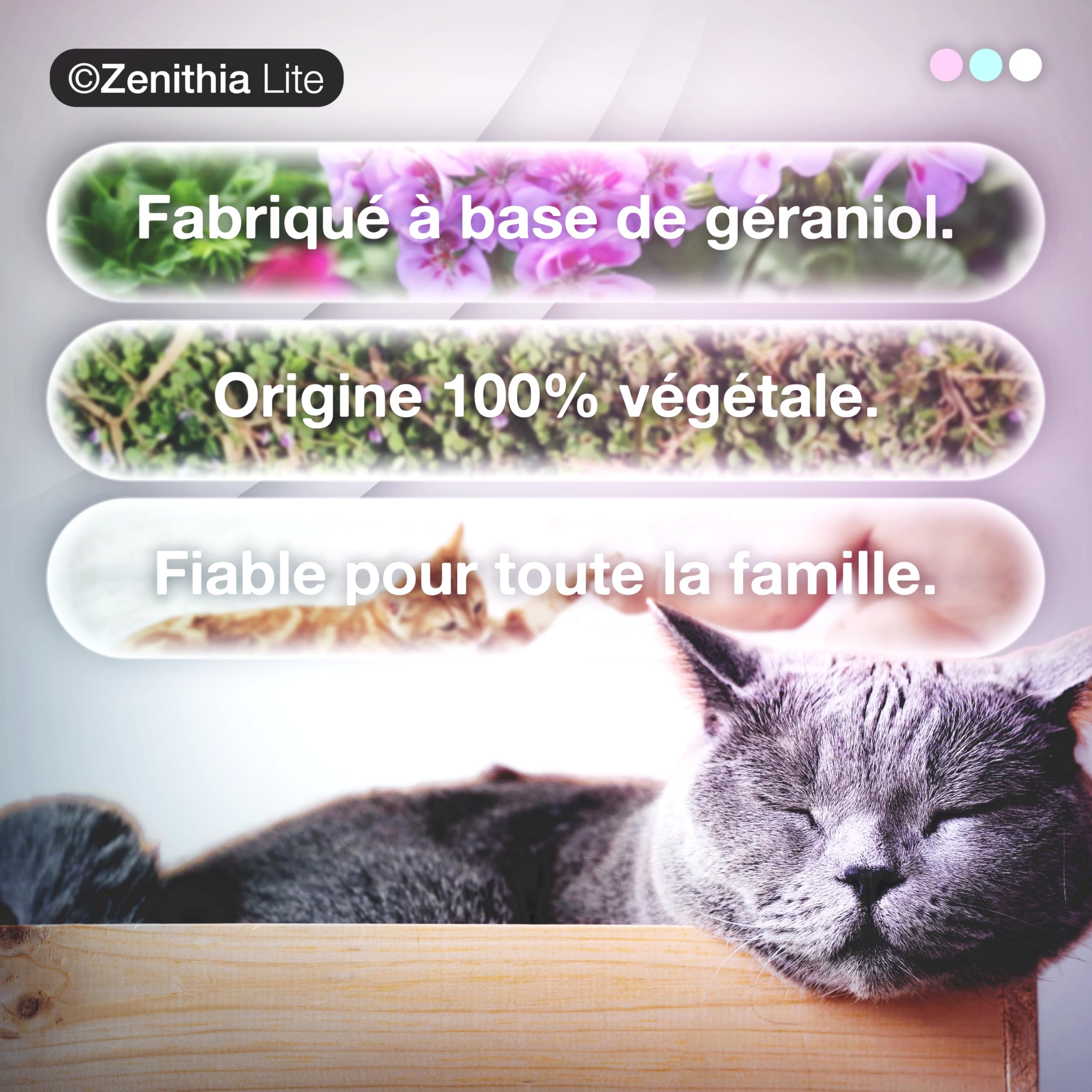 ZENITHIA Lite Collier Antiparasitaire Chat – Répulsif Insectes, Anti-Puces, Tiques et Moustiques – 12 Mois Protection – 48 cm – Ajustable – Végétal – Étanche – 1 Unité