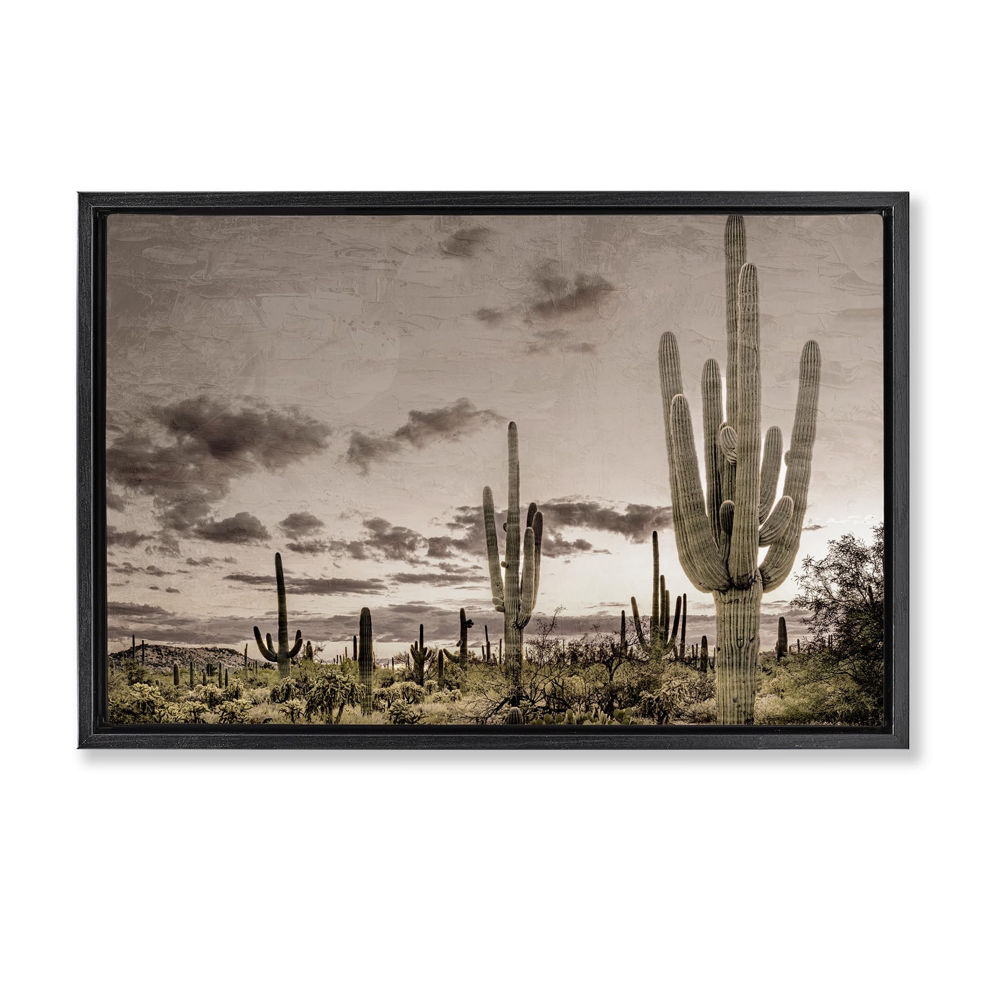 Stupell Industries Jet Black (Matte) Desert Sky Cactus Wilderness, 16 X 24 Inch Canvas In Floater Frame