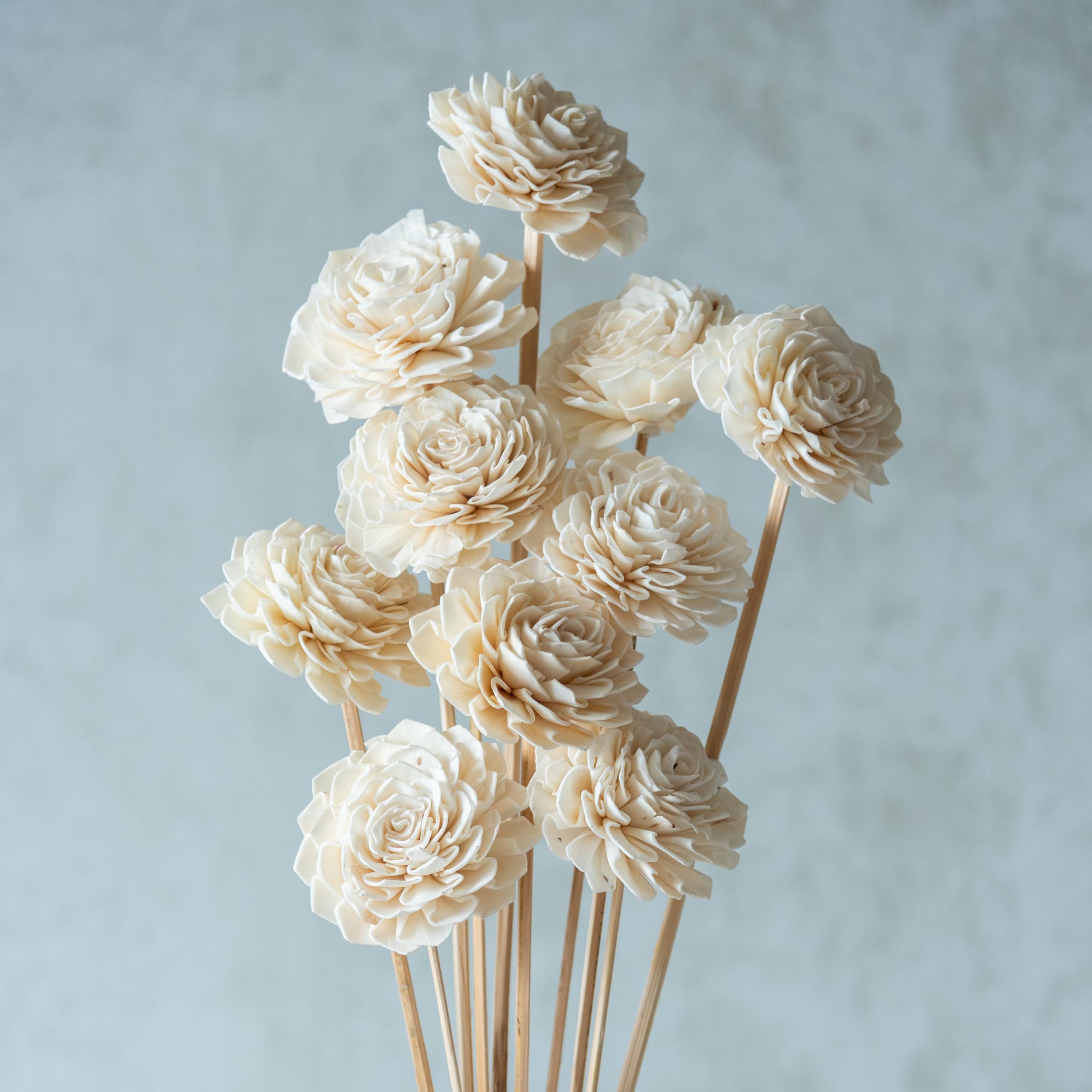 Flowers and Fillers ||White Sola Bingo 8 cm On Stem (10 Sticks) | Natural Dried Flower | Eco-Friendly Flowers for Home, Office, Bedroom, Table Decoration and Craft Items Corner (Without Vase Pot)