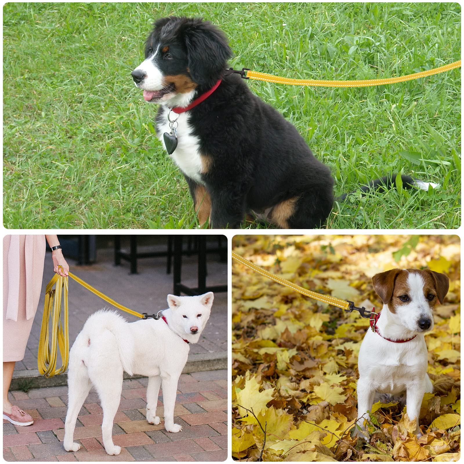 Laisse de dressage pour chien - 3 m, 5 m, 10 m, 15 m, 20 m, robuste, réfléchissante - Avec poignée rembourrée et dragonne - Pour petits et grands chiens