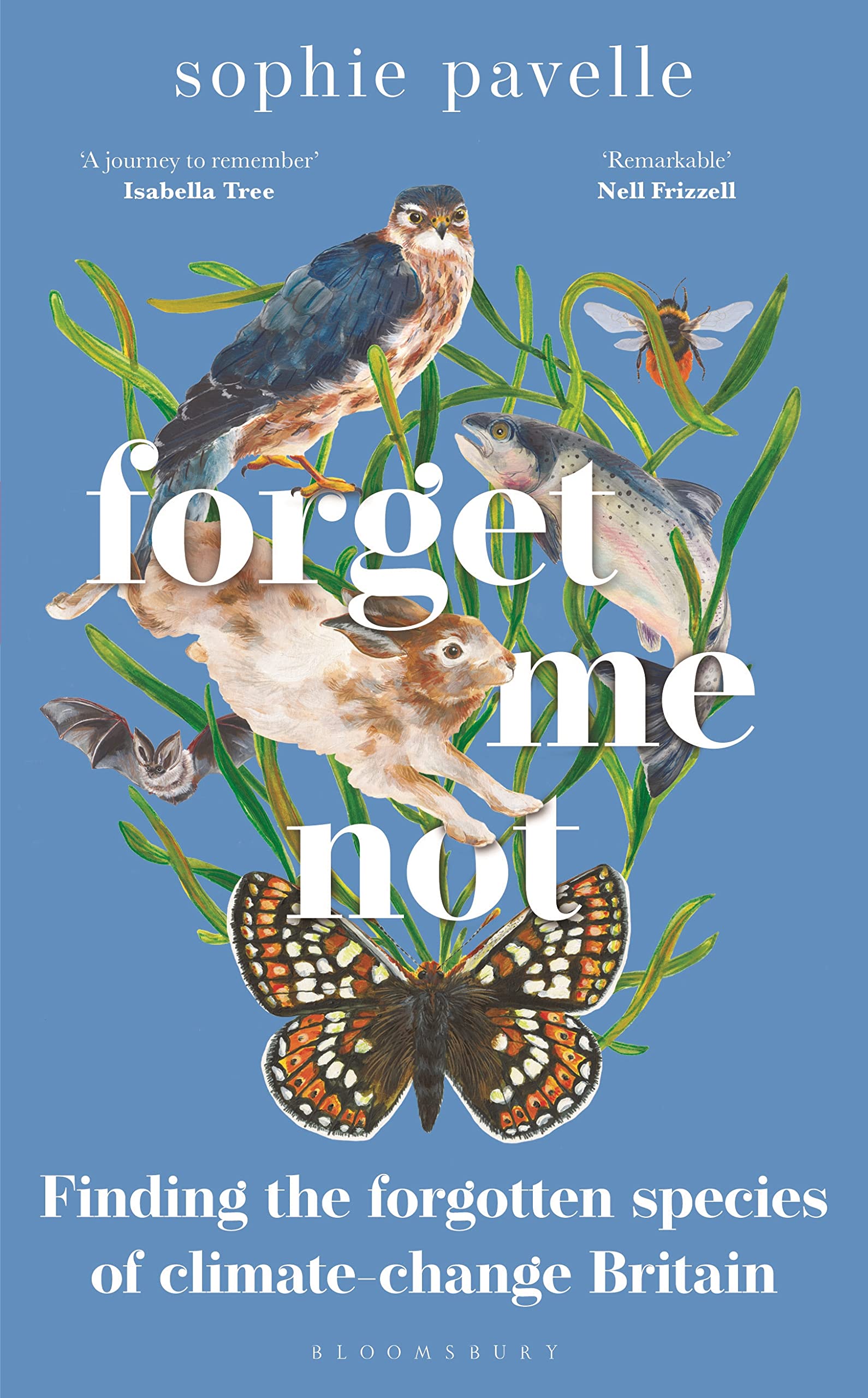 Buy Forget Me Not: Finding the forgotten species of climate-change Britain — BookShops.in