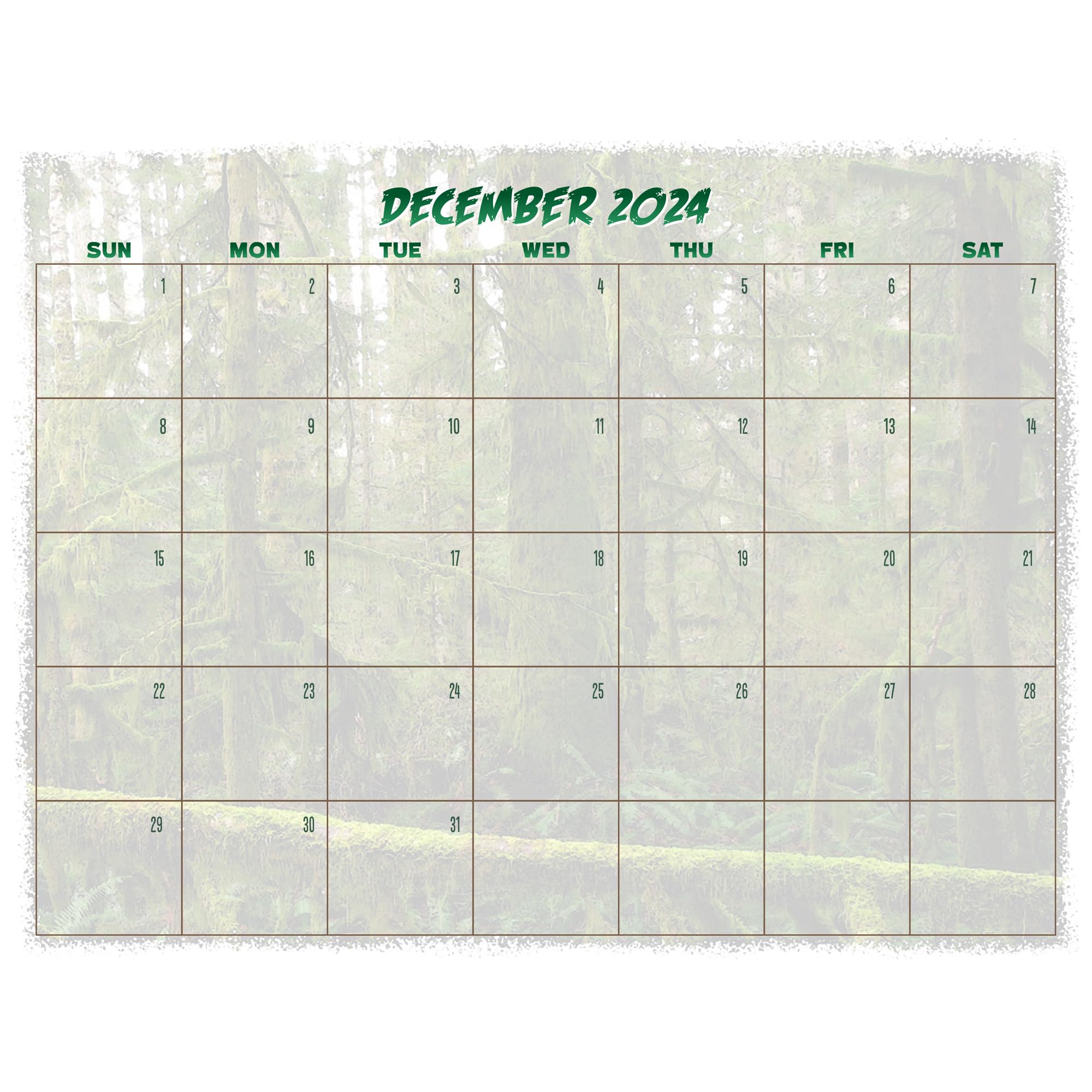 amazon-com-2025-bigfoot-calendar-13-month-wall-calendar-11-x-19-opened-fun-gift-for-fans-of-sasquatch-cryptids-and-the-unknown-bigfoot-bear-office-products