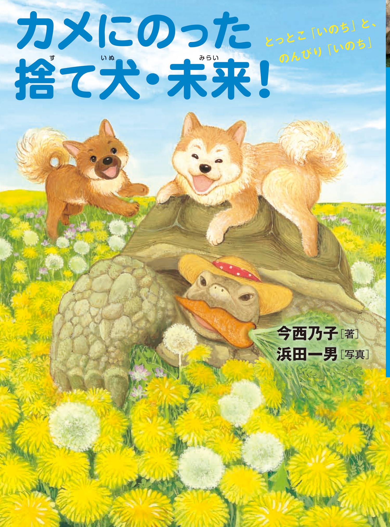 Amazon.co.jp: カメにのった捨て犬・未来!: とっとこ「いのち」と