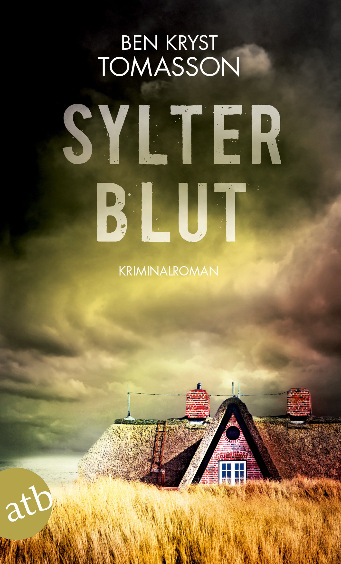 Sylter Blut: Kriminalroman (Kari Blom ermittelt undercover 3)