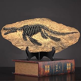 XINDAM Resin Mosasaurus Dinosaur Fossil Figure Statue Model Simulated Skeleton Home Office Display Decorative Craft Box Decoration (Style 9)