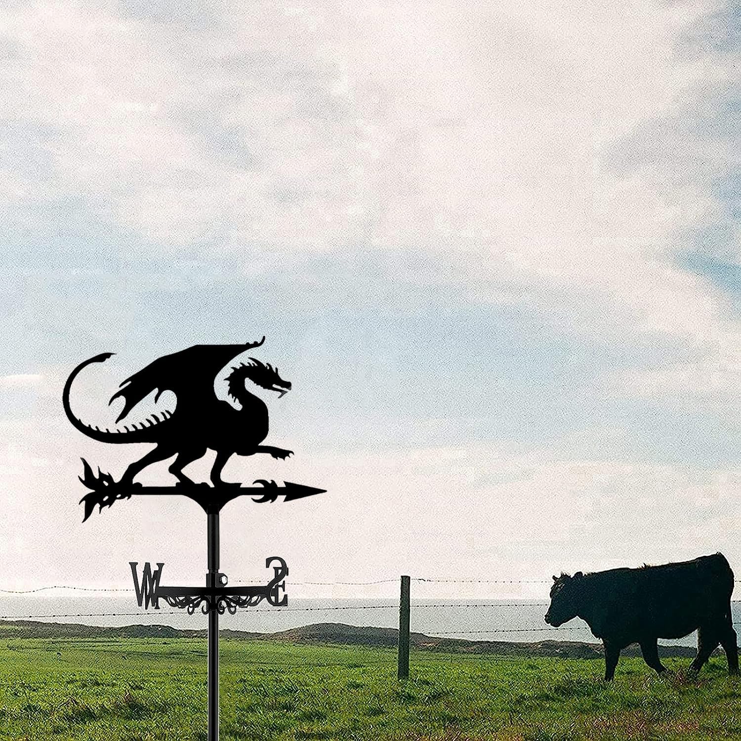 Magic Dragon Weathervane for Roof Metal Pterosaur Shape Weather Vane Wind Direction Indicators Kit Wind Vane wiht Bracket Weathercock for Outdoor Garden Yard