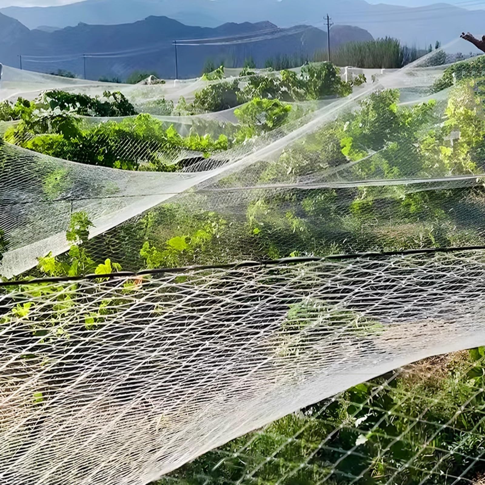 Siatka ochronna do upraw warzywnych, Garden Netting Mesh For Raised Beds, White, Multiple Sizes(7x10 m)