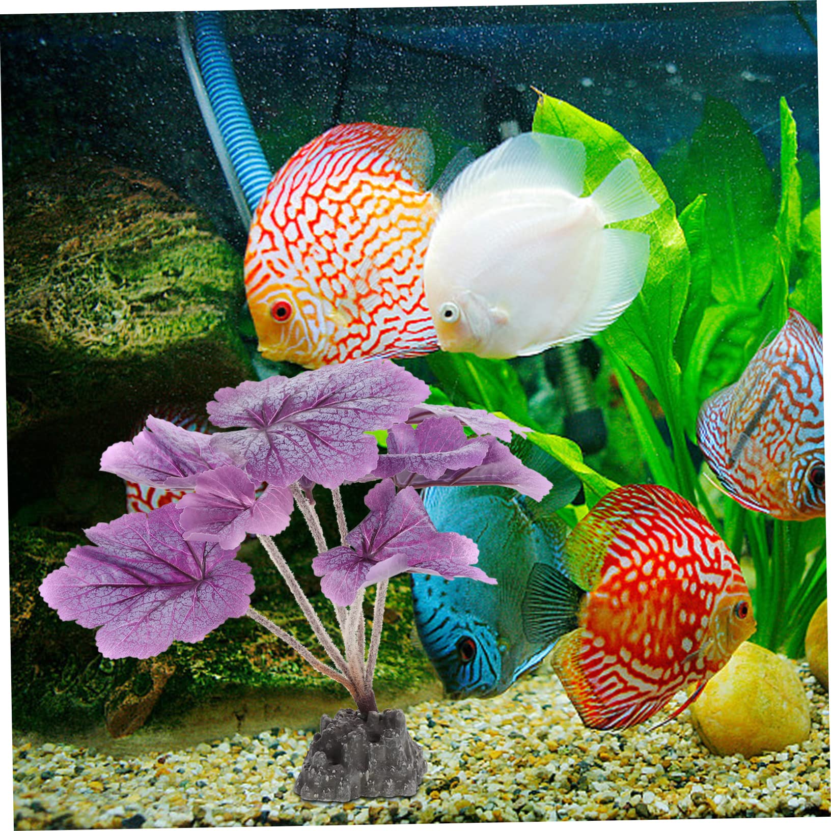 Yardwe 3 Pièces Aquarium Aménagement Paysager Plantes d'eau Aquarium Eau Fausse Plante Ornements D'Aquarium Fausse Planta Décoration D'Aquarium en Plastique Plantes d'eau