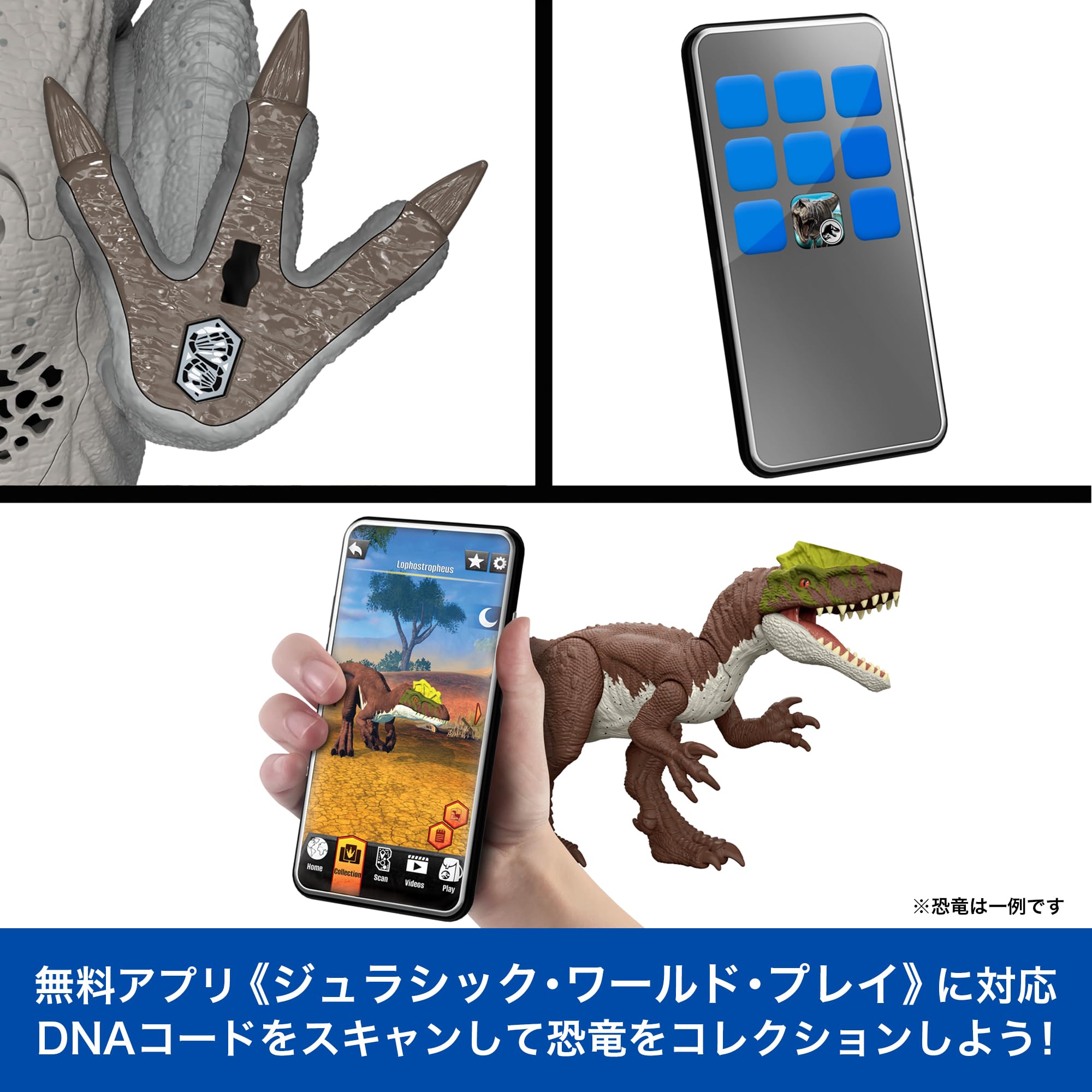 Thumbnail 5
