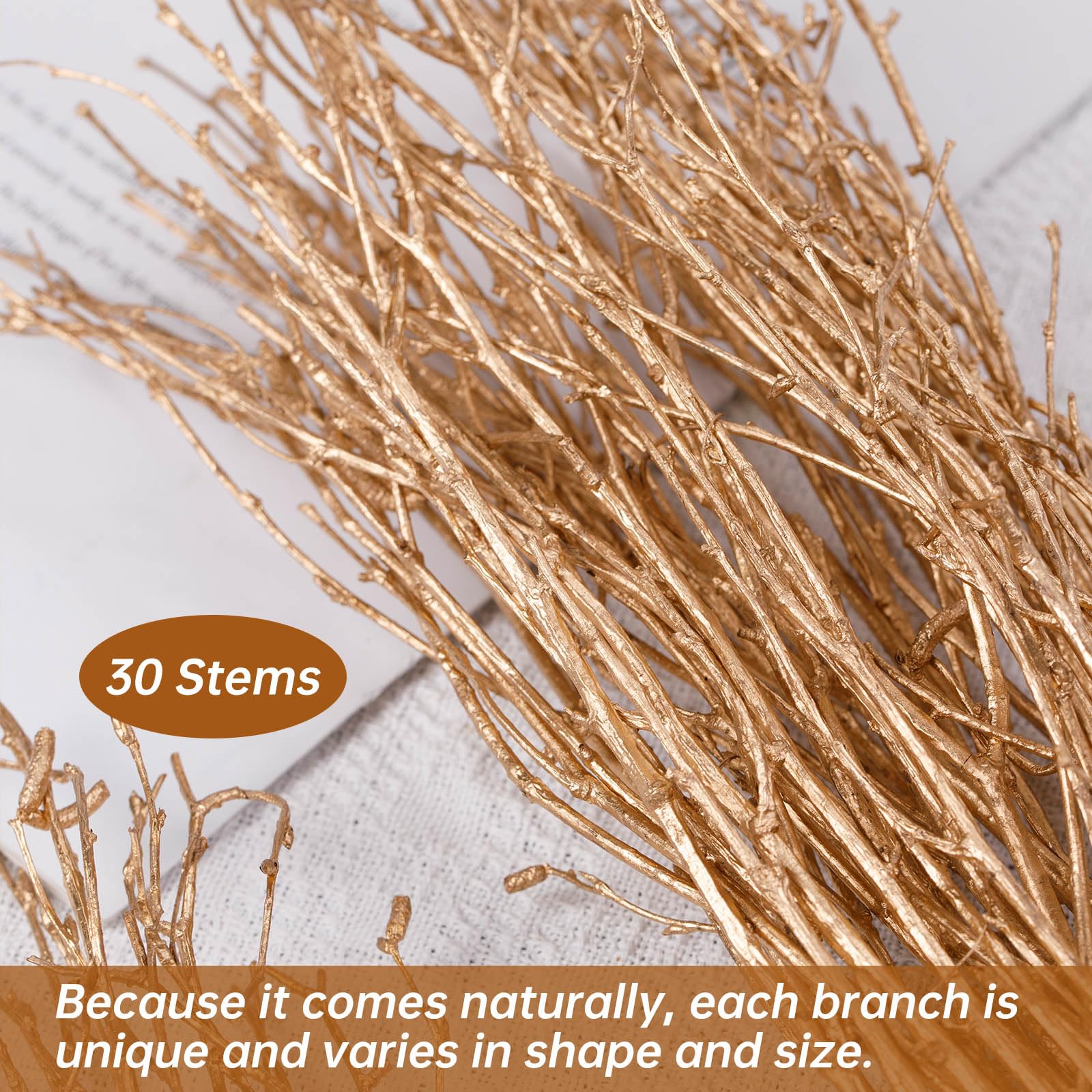 30Pcs Real Dried Birch Twigs - 17