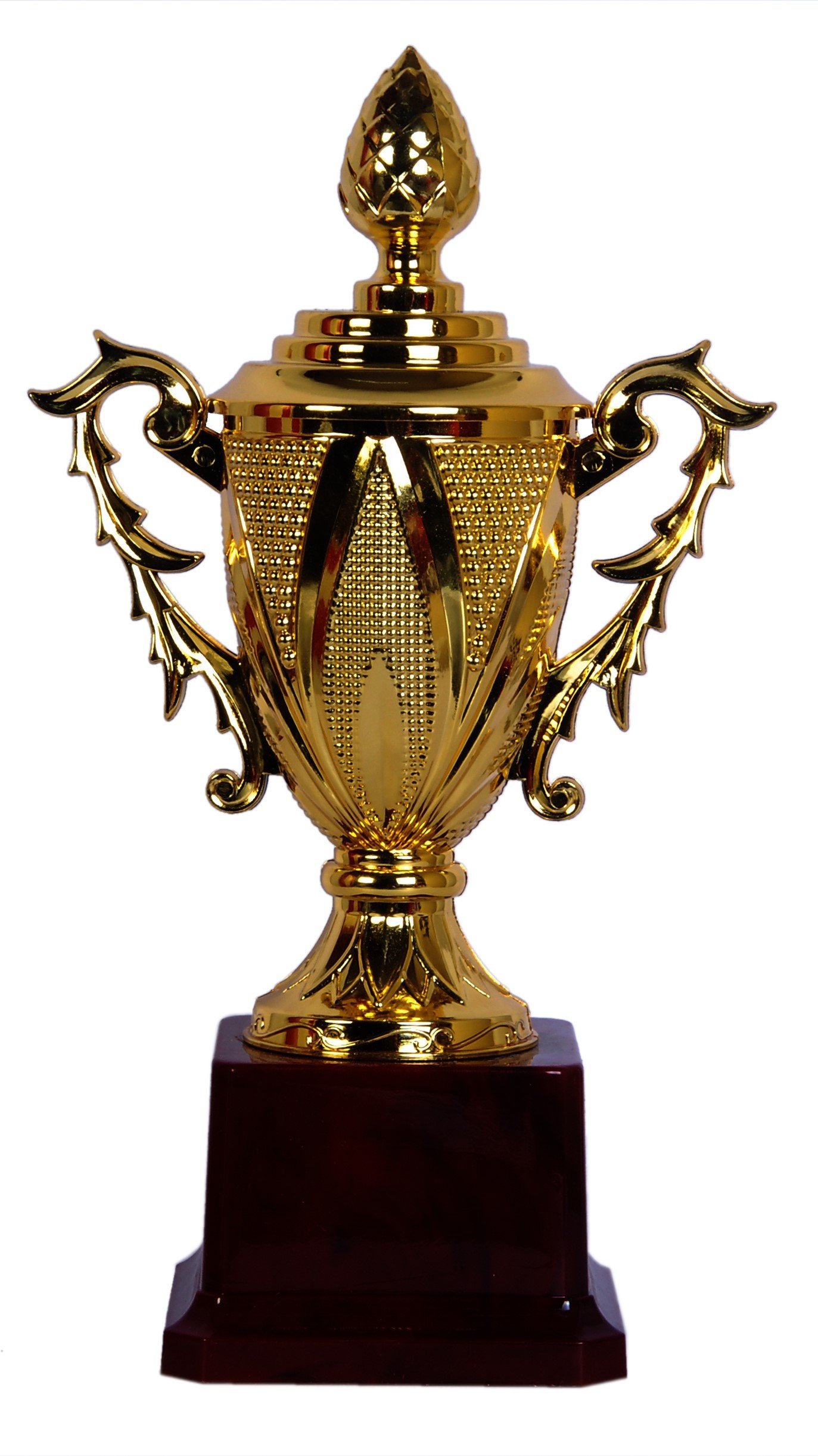 SIGARAM fiberglass 11 Inches Trophy for Party Celebrations, Ceremony, Appreciation Gift, Sport , Academy, Awards for Teachers and Students K1186 (Gold, Brown) (B07G2FL7JC) Amazon Price History, Amazon Price Tracker