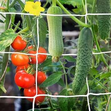 2 Pack 5x30 Ft Garden Trellis Netting, with 50pcs Garden Ties