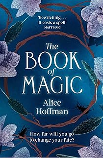 The Book of Magic (Volume 4)