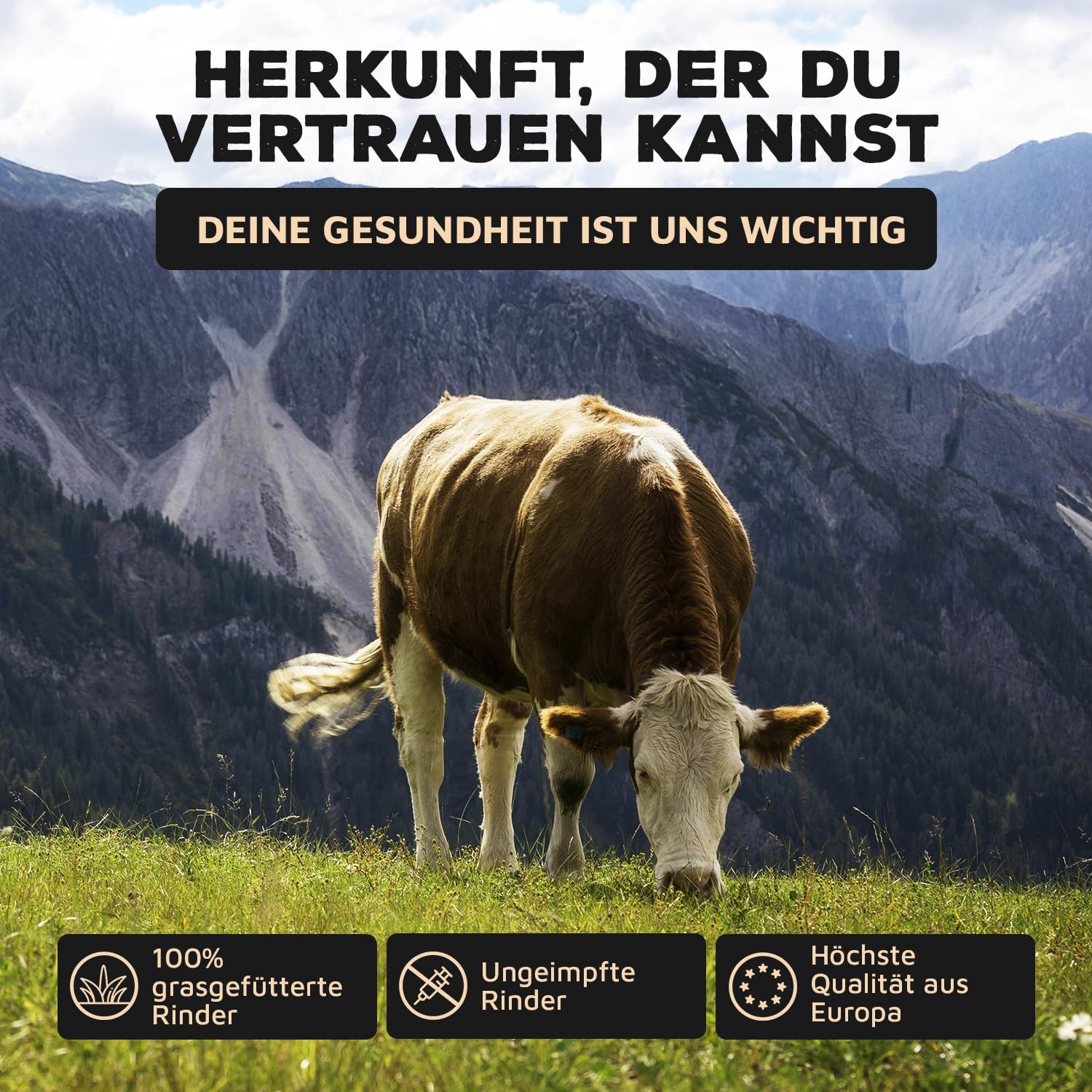 Carnivoro Knochenbrühe Pulver vom schwedischen Rind 500g 84% Beauty Kollagen Pulver