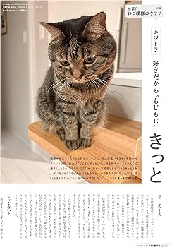 特別付録：2026カレンダー】ネコまる 2026年冬春号 vol.51