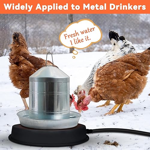Miniatura 7 de Calentador de agua para pollo, base de agua de pollo calentada de 125 vatios, 15 pulgadas, calentador de bebedor de pollo para invierno con