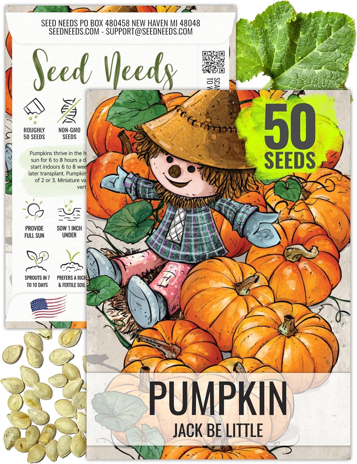 Seed Needs Pumpkin Seeds for Planting Jack Be Little Mini Pumpkins - Non-GMO Heirloom & Untreated to Plant an Outdoor Vegetable Garden - Decorative Miniature Pumpkins (1 Pack)