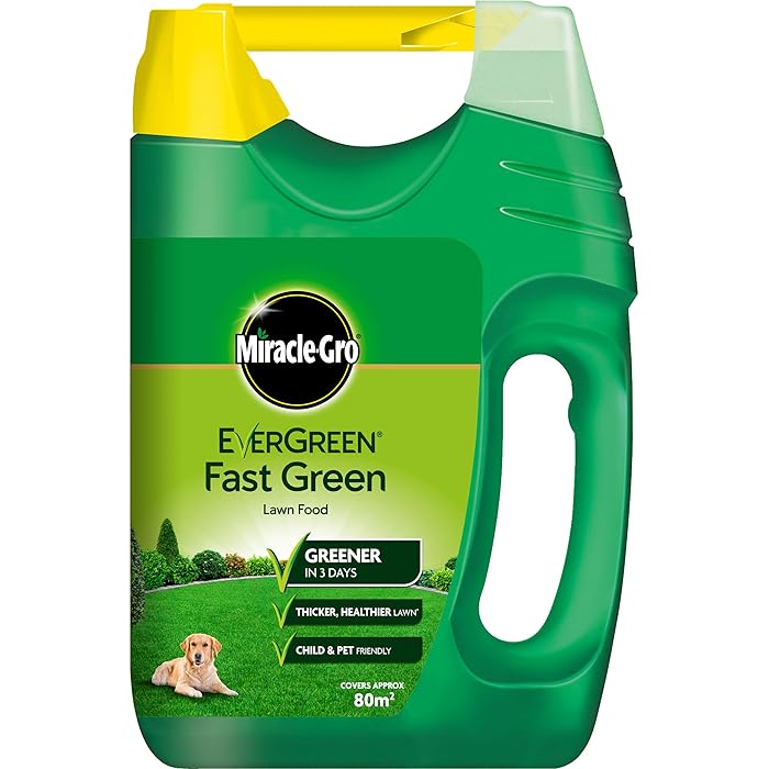 Buy MiracleGro 15023 EverGreen Fast Green Lawn Food, Spreader, 80 sq m