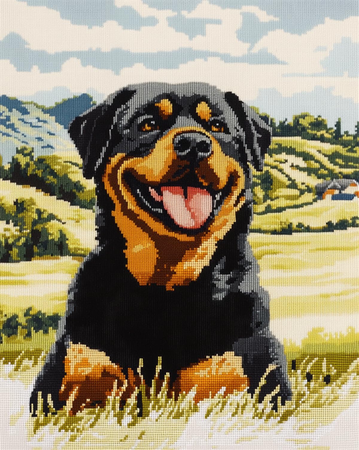 Axiangzik D N.lanshan Og Animal Iy Tapestry Kits For Adults Rottweiler Portrait Iy Latch Hook Rug Making Kits For Beginners Unfinishe Crocheting Tapestry Embroidery Carpet 52X38cm