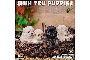 Lhasa Apso Calendar 2022