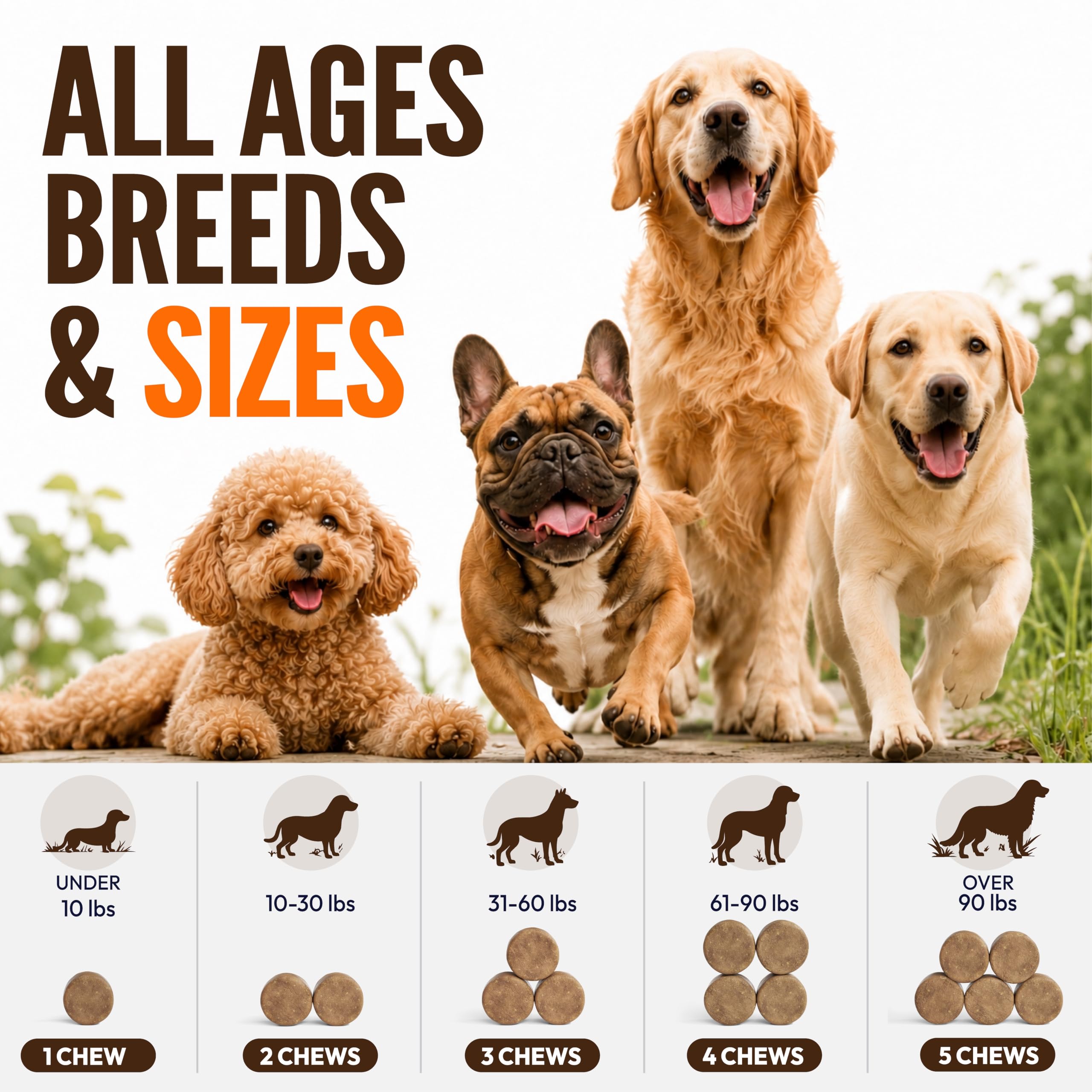 Turkey Tail Mushroom for Dogs - 250 Chews - Lion's Mane, Shiitake & Reishi — Amazon image 8