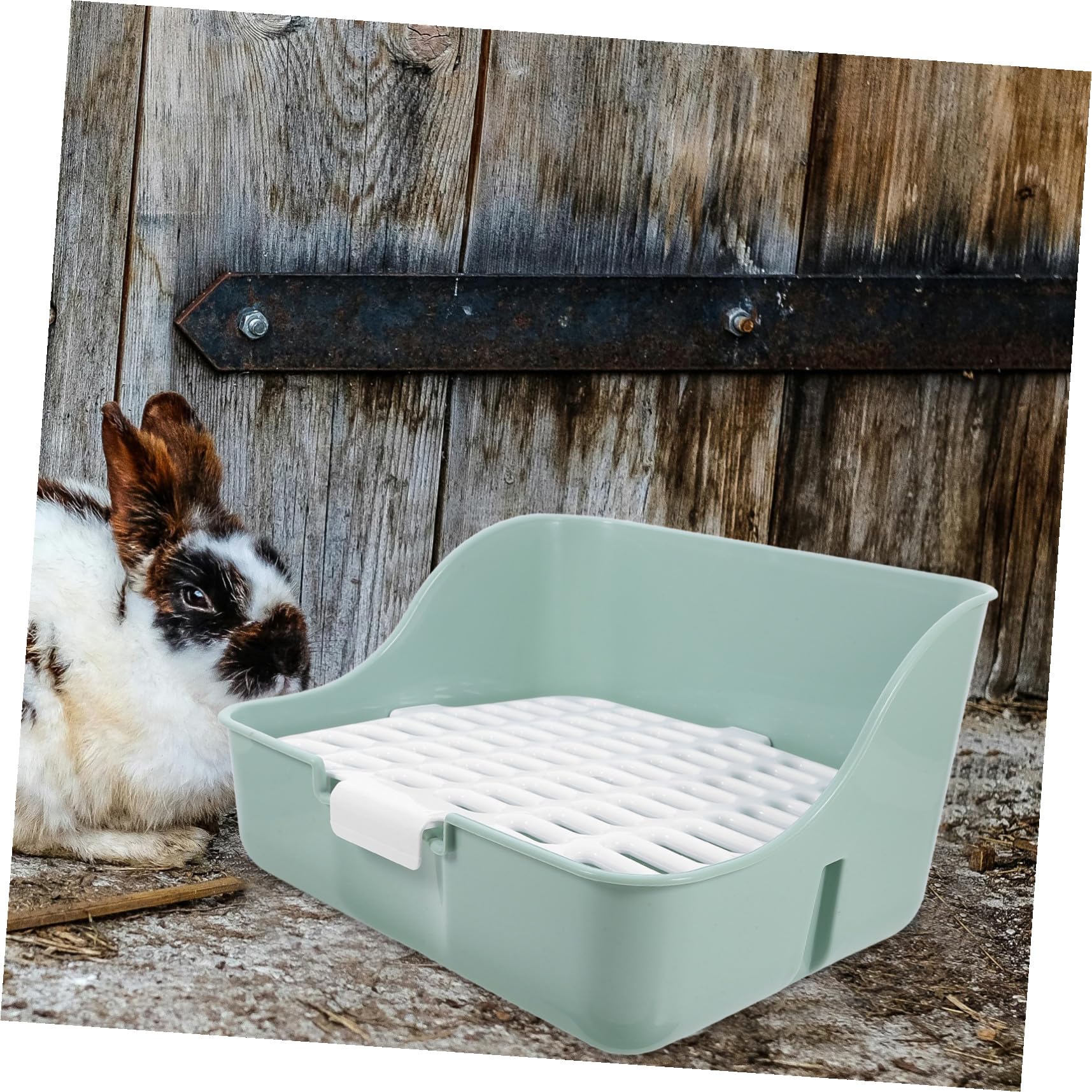 Kaninchentoilette Eckschale aus Abs mit Antispritz Design und Komfortabler Umgebung Große Meerschweinchen Töpfchen für Kaninchen und Zwergkaninchen in Hellem Grün