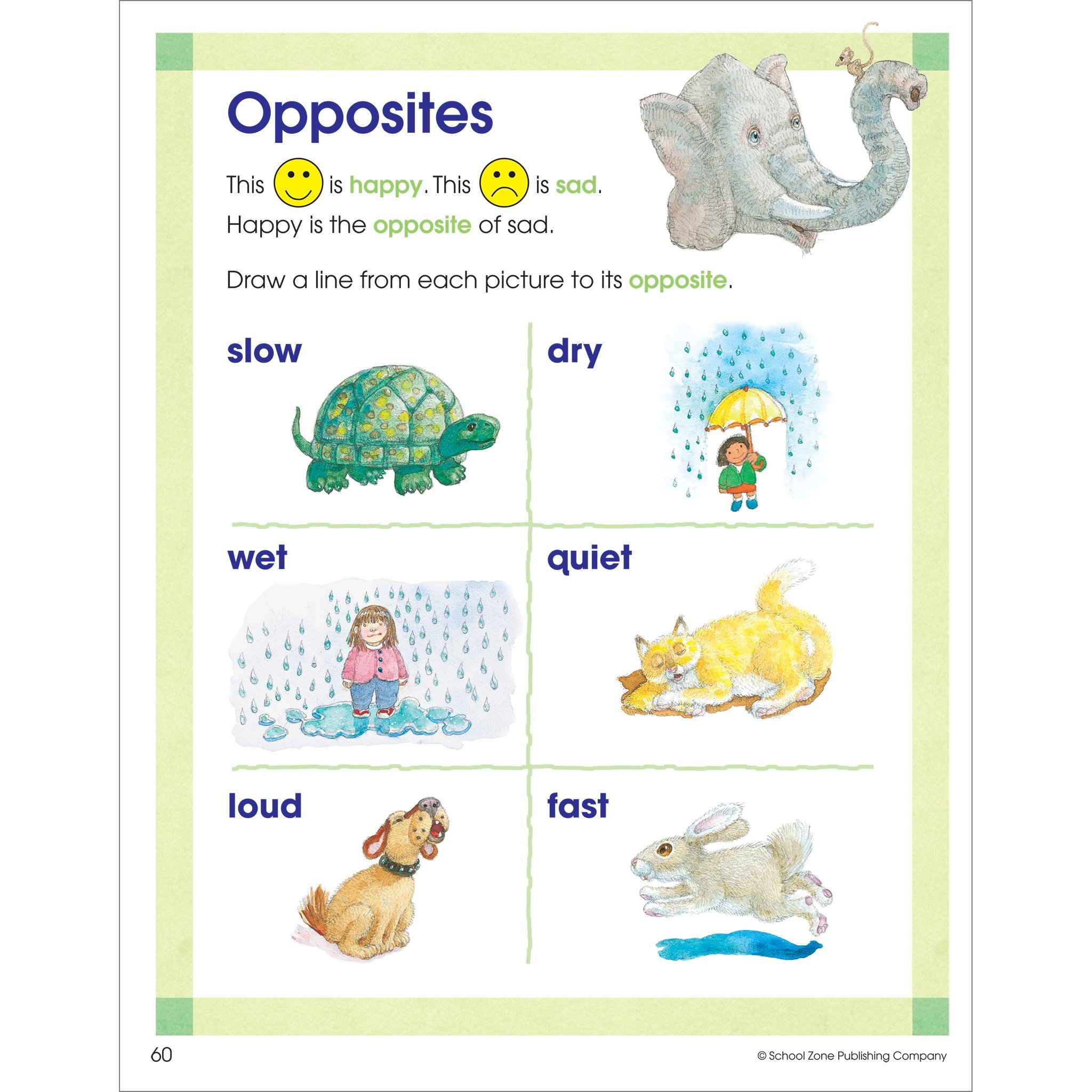 Flash Action Software Combo Kindergarten: Ages 5-6
