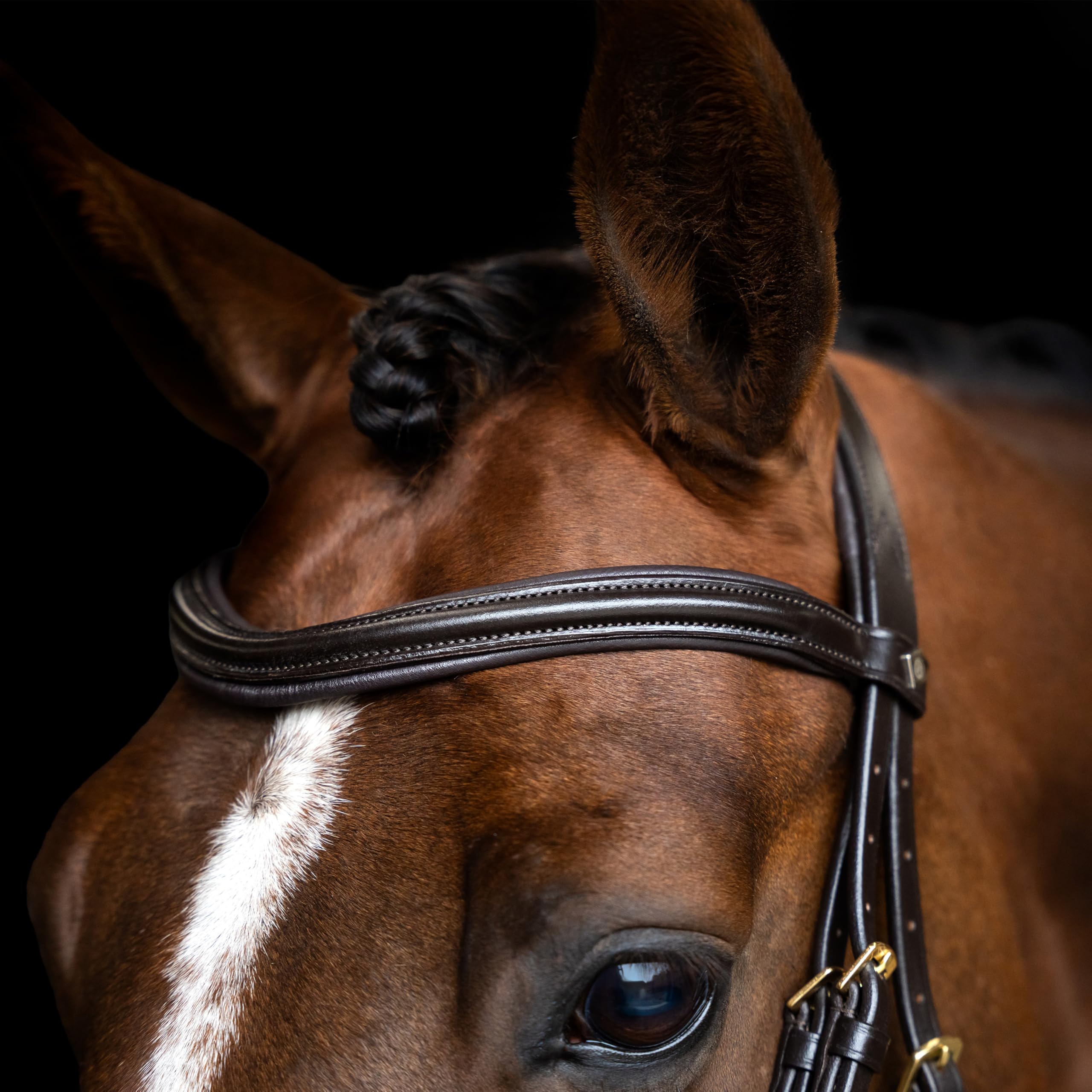 Imperial Riding Briglia IRH combina Sleek, Cavezza Inglese con Collo ergonomico e Cinghia di bloccaggio Rimovibile, Marrone, COB