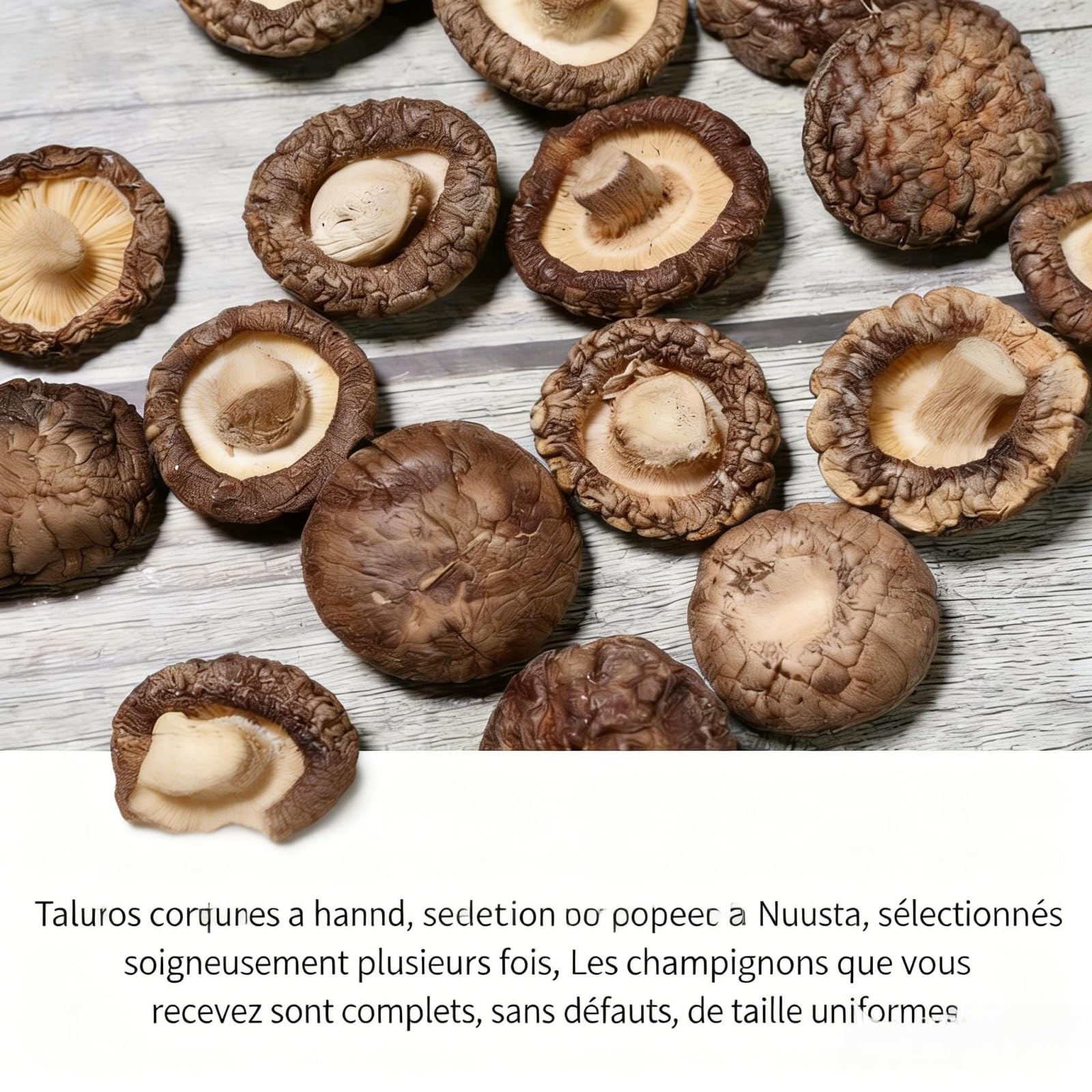 TraiHuyan Shiitake Secos 250g Grado A Secado Controlado Sabor Intenso 100% Natural Vegano